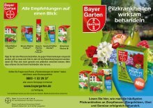 20 Free Magazines From Oleandershop De