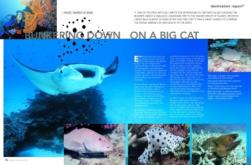 BUNKERING DOWN ON A BIG CAT - Dive The Blue . net