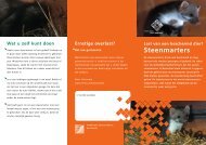 Steenmarters - Gemeente Dalfsen