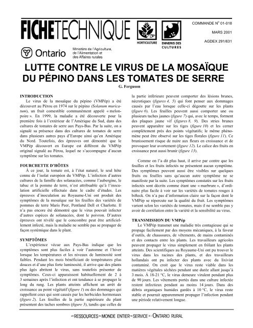Lutte contre le virus de la mosaÃ¯que du pÃ©pino dans les tomates de ...