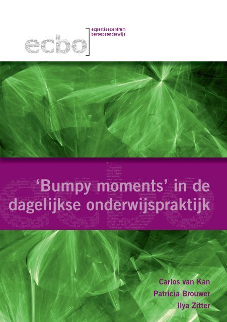 'Bumpy moments' in de dagelijkse onderwijspraktijk - Onderwijsraad