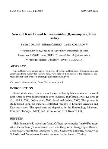 New and Rare Taxa of Ichneumonidae (Hymenoptera) from Turkey