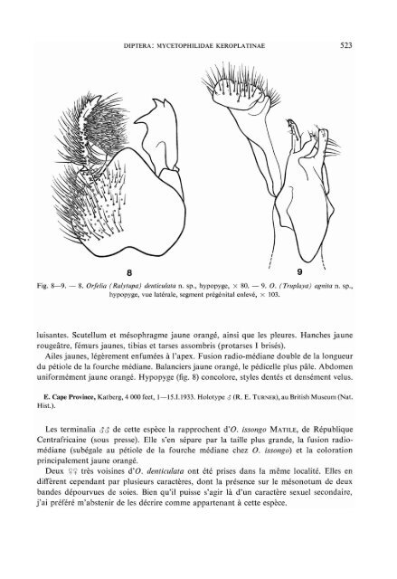 diptera: mycetophilidae i(eroplatinae - Online Identification Keys