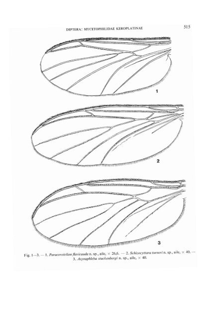 diptera: mycetophilidae i(eroplatinae - Online Identification Keys