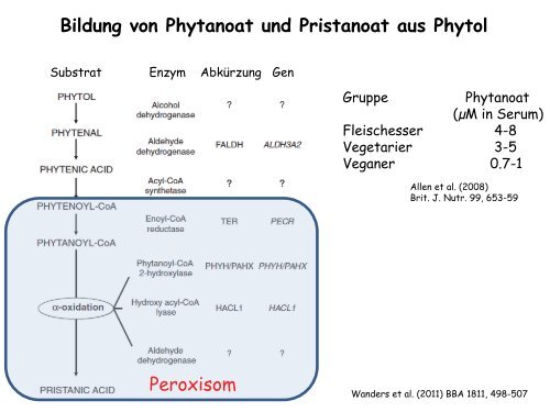 Der Golgi-Apparat