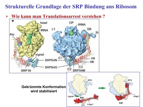 Funktionen des RER