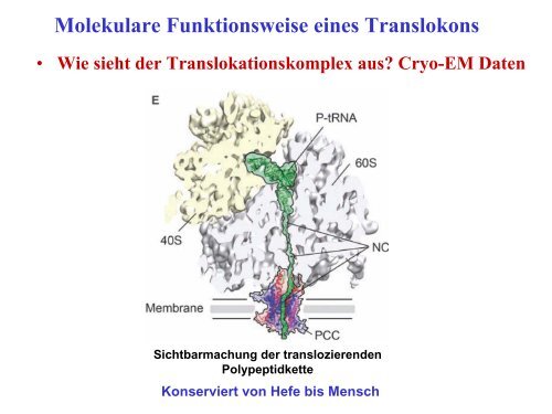 Funktionen des RER