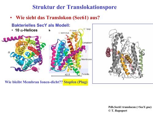 Funktionen des RER