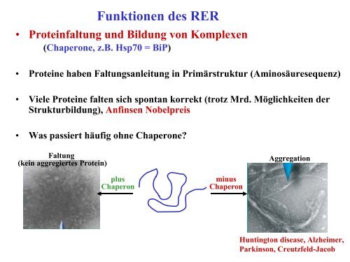 Funktionen des RER