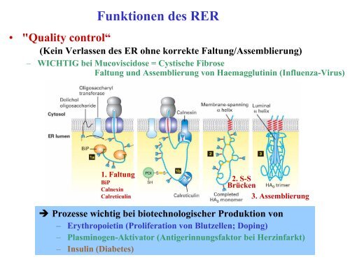 Funktionen des RER