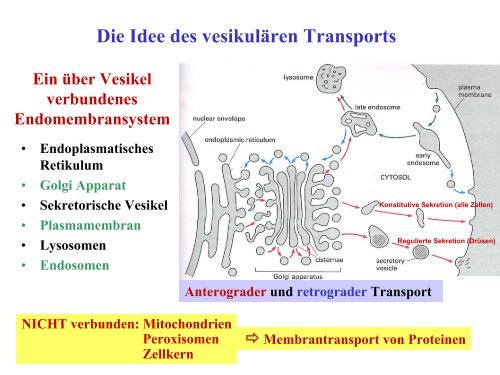 Funktionen des RER