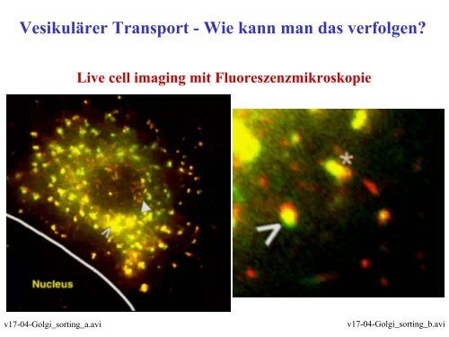 Funktionen des RER