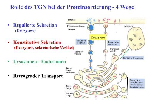 Funktionen des RER