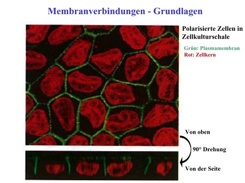 Kein Folientitel