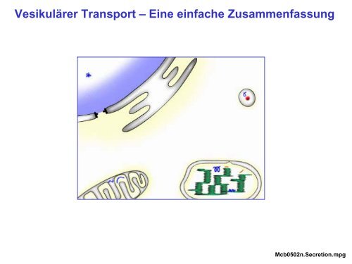 VesikulÃ¤rer Transport