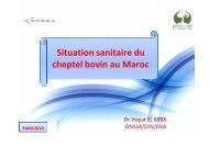 Situation sanitaire du cheptel bovin au Maroc - ONSSA