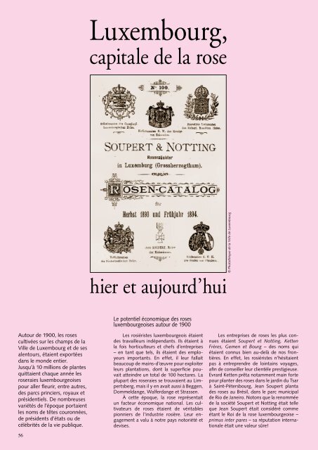 Le potentiel économique des roses luxembourgeoises ... - Ons Stad