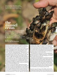 The Mussel Crisis - Ontario Nature