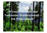 Wirtschaftlichkeit und Naturnahe Waldwirtschaft – ein Widerspruch?