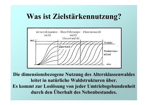 Wirtschaftlichkeit und Naturnahe Waldwirtschaft – ein Widerspruch?