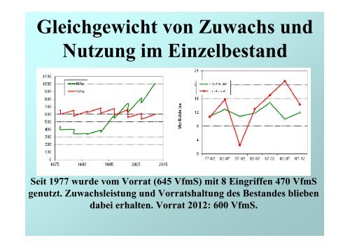 Wirtschaftlichkeit und Naturnahe Waldwirtschaft – ein Widerspruch?