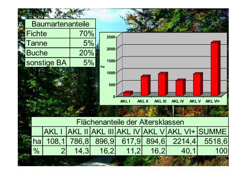 Wirtschaftlichkeit und Naturnahe Waldwirtschaft – ein Widerspruch?