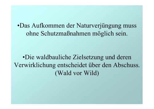 Wirtschaftlichkeit und Naturnahe Waldwirtschaft – ein Widerspruch?