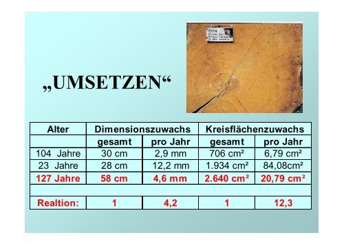 Wirtschaftlichkeit und Naturnahe Waldwirtschaft – ein Widerspruch?