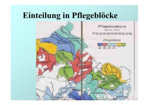 Wirtschaftlichkeit und Naturnahe Waldwirtschaft – ein Widerspruch?