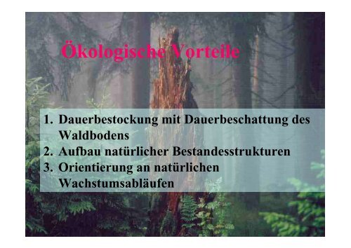 Wirtschaftlichkeit und Naturnahe Waldwirtschaft – ein Widerspruch?