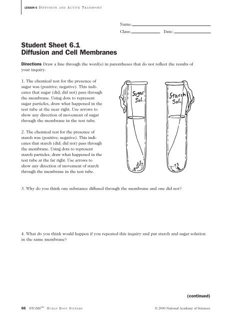 Student Sheet 6.1 Diffusion and Cell Membranes