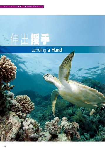 Lending a Hand - é¦æ¸¯æµ·æ´å¬åä¿è²åºé