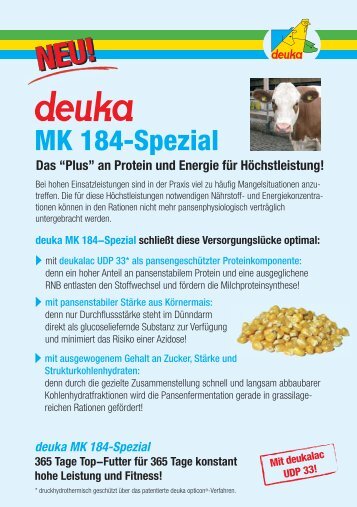 MK 184-Spezial Das
