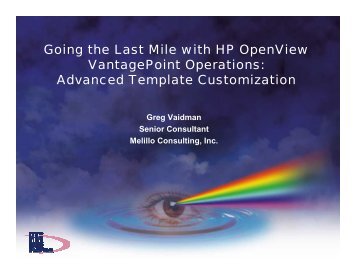 Advanced Template Customization - OpenMPE