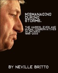 mismanaging-during-storms-the-mike-harris-and-tim-hudak-conservatives-in-ontario-1
