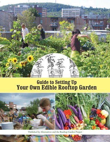 Edible Rooftop Gardening - Survival-training.info