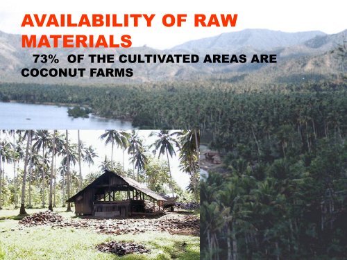 Bicol Integrated Fiber Coconut Processing Project