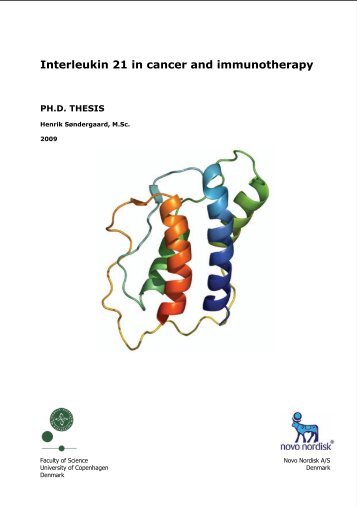 Interleukin 21 in cancer and immunotherapy