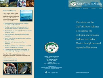 GOMA Brochure - Gulf of Mexico Alliance
