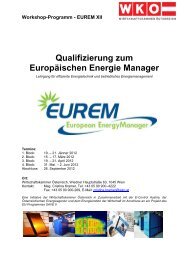 Workshop-Programm - EUREM XII Qualifizierung zum Europäischen ...