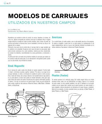 Modelos de carruajes utilizados en nuestros campos