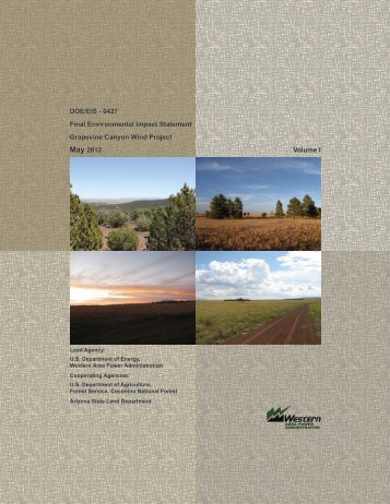 Final Environmental Impact Statement Volume I - Western Area ...