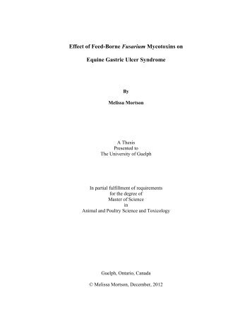 Effect of Feed-Borne Fusarium Mycotoxins on Equine Gastric Ulcer ...