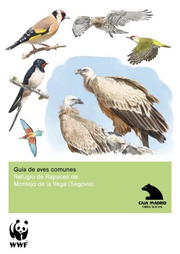 GuÃ­a de aves comunes Refugio de Rapaces de Montejo de ... - WWF
