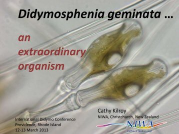 Didymosphenia geminata â¦ - Invasive Species Action Network