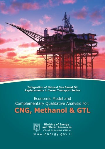 CNG, Methanol & GTL Integration of Natural Gas Based Oil ...