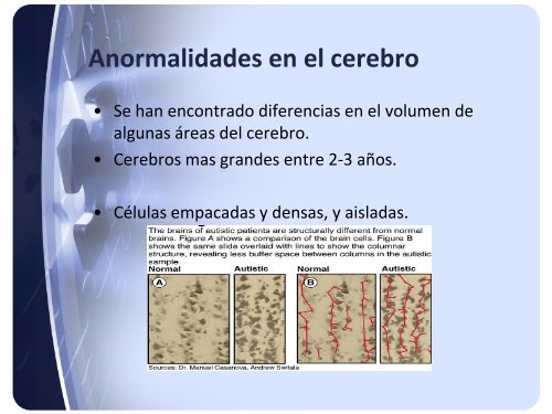 PresentaciÃ³n (PDF) - OPPHLA