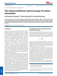 Tip-enhanced Raman spectroscopy of carbon nanotubes