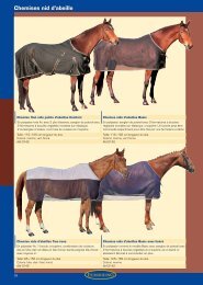 Dublin Foundation Femmes Hommes Cheval stable cour de soutien Jodhpur Paddock Boot