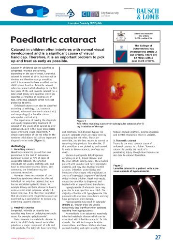 Download the PDF
